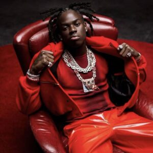 rema type beat